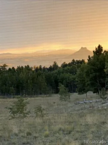 503 Sugar Loaf Lane Jefferson, CO 80456