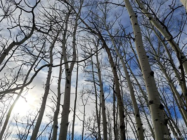503 Sugar Loaf Lane Jefferson, CO 80456