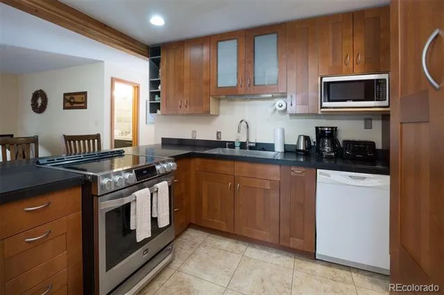 91100 Ryan Gulch Road #91105 Silverthorne, CO 80498