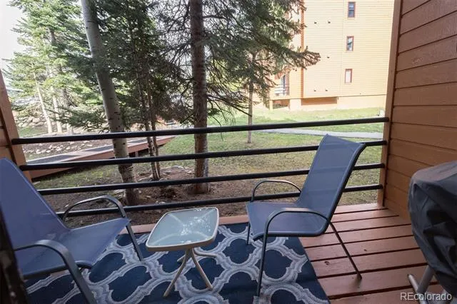 91100 Ryan Gulch Road #91105 Silverthorne, CO 80498