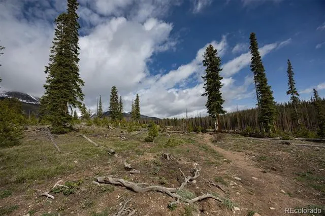 91100 Ryan Gulch Road #91105 Silverthorne, CO 80498
