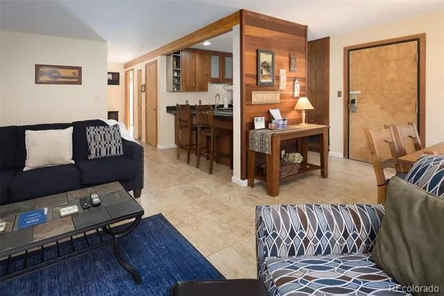 91100 Ryan Gulch Road #91105 Silverthorne, CO 80498