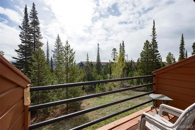 91100 Ryan Gulch Road #91105 Silverthorne, CO 80498