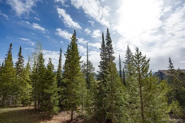 91100 Ryan Gulch Road #91105 Silverthorne, CO 80498
