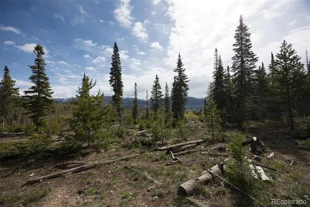 91100 Ryan Gulch Road #91105 Silverthorne, CO 80498