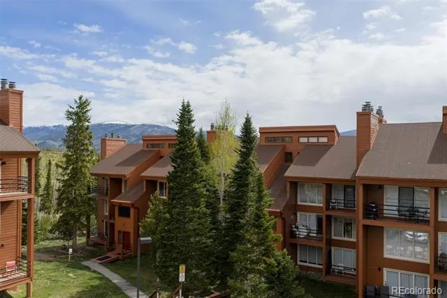 91100 Ryan Gulch Road #91105 Silverthorne, CO 80498