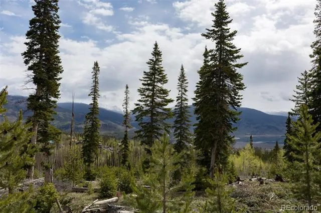 91100 Ryan Gulch Road #91105 Silverthorne, CO 80498