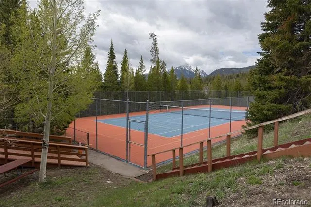 91100 Ryan Gulch Road #91105 Silverthorne, CO 80498