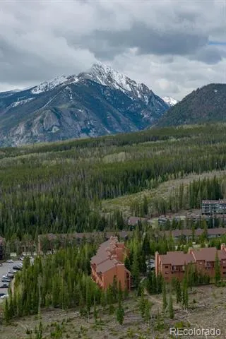 91100 Ryan Gulch Road #91105 Silverthorne, CO 80498