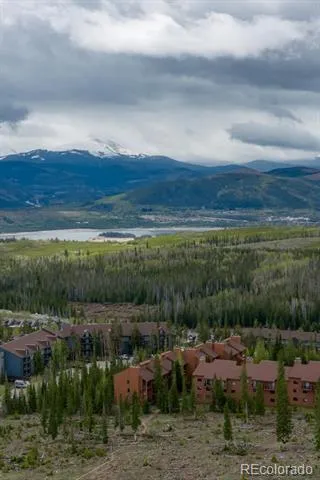 91100 Ryan Gulch Road #91105 Silverthorne, CO 80498