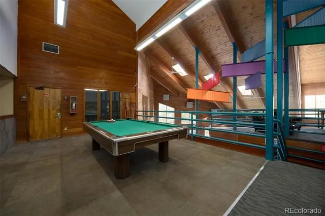 91100 Ryan Gulch Road #91105 Silverthorne, CO 80498
