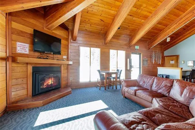 91100 Ryan Gulch Road #91105 Silverthorne, CO 80498