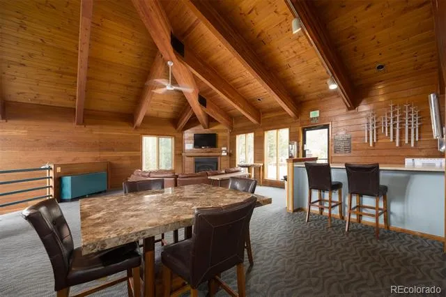 91100 Ryan Gulch Road #91105 Silverthorne, CO 80498