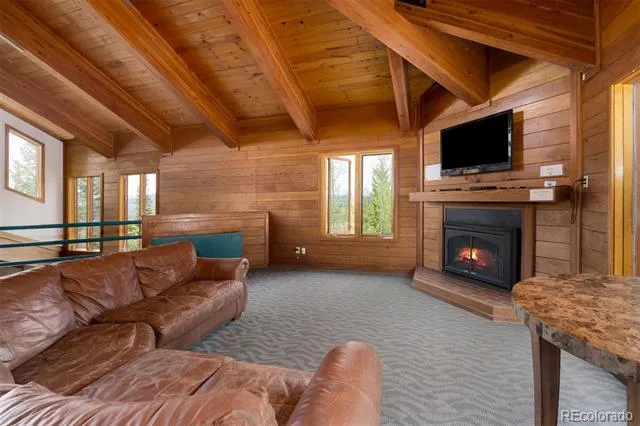 91100 Ryan Gulch Road #91105 Silverthorne, CO 80498