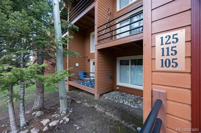 91100 Ryan Gulch Road #91105 Silverthorne, CO 80498