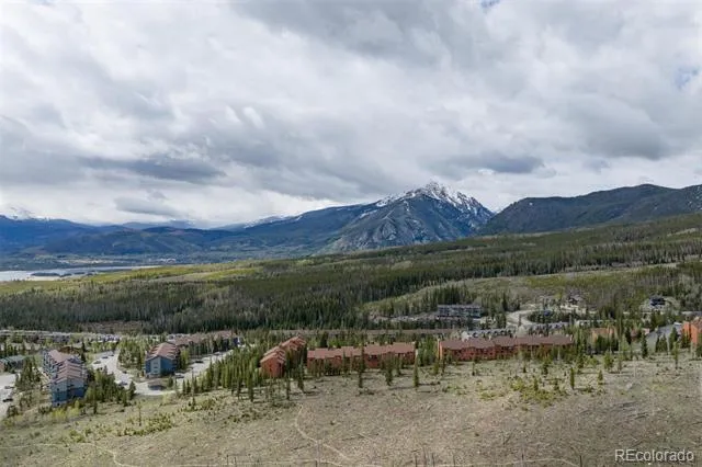 91100 Ryan Gulch Road #91105 Silverthorne, CO 80498