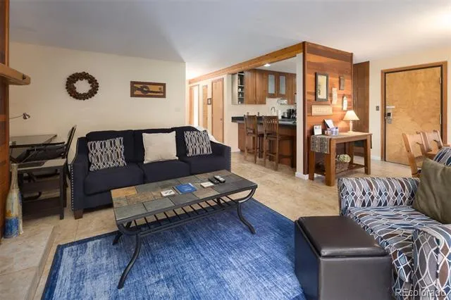 91100 Ryan Gulch Road #91105 Silverthorne, CO 80498