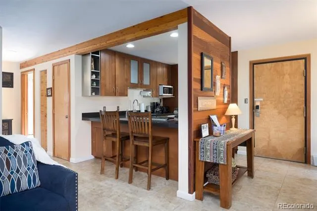 91100 Ryan Gulch Road #91105 Silverthorne, CO 80498