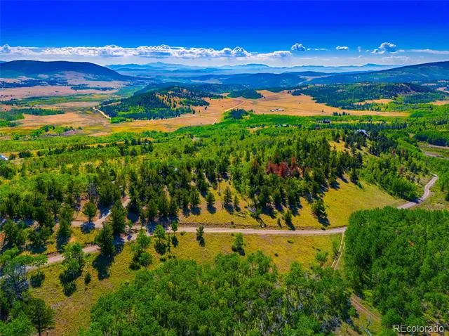 210 Pine Ridge Road Fairplay, CO 80440