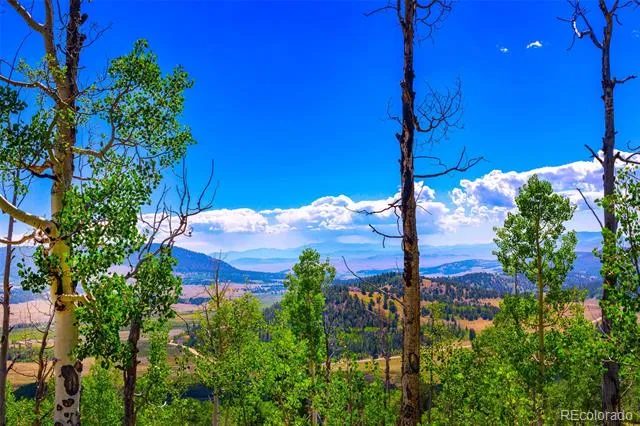 210 Pine Ridge Road Fairplay, CO 80440