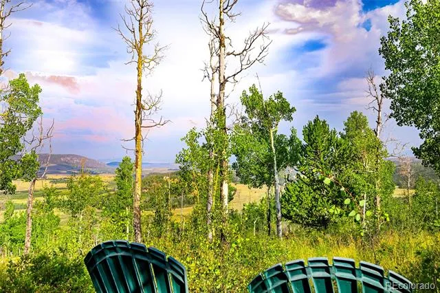 210 Pine Ridge Road Fairplay, CO 80440