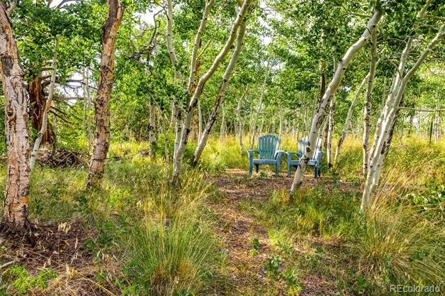 210 Pine Ridge Road Fairplay, CO 80440