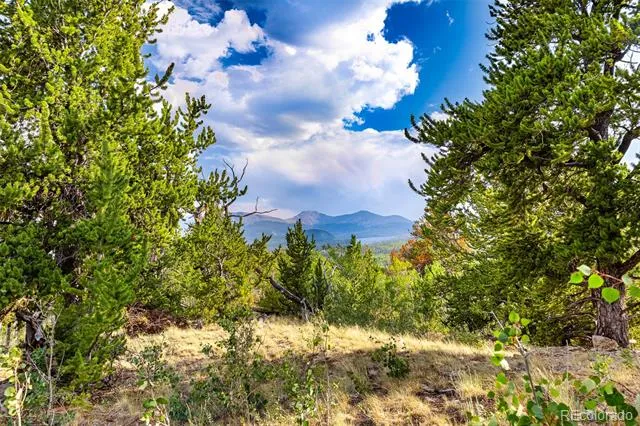 210 Pine Ridge Road Fairplay, CO 80440
