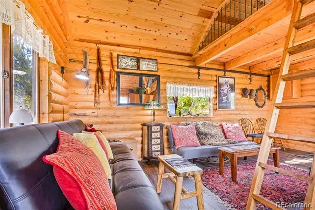 210 Pine Ridge Road Fairplay, CO 80440