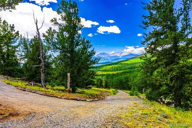210 Pine Ridge Road Fairplay, CO 80440