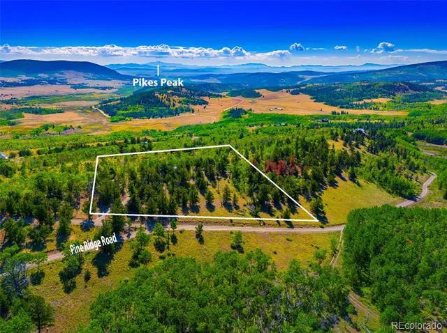 210 Pine Ridge Road Fairplay, CO 80440