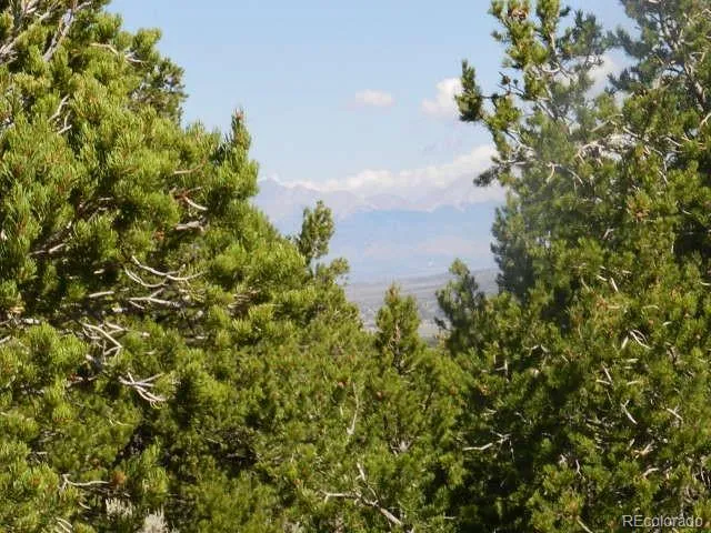 Lots 8-9 Mountain Ridge Lane San Luis, CO 81152