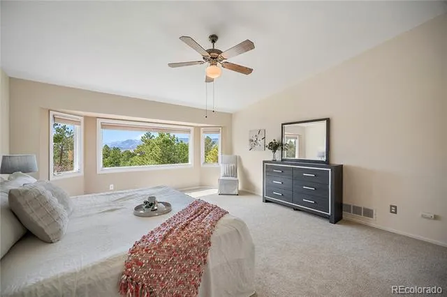 1669 Woodstone Way Monument, CO 80132