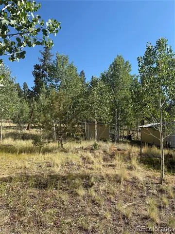103 Baker Road Bailey, CO 80421