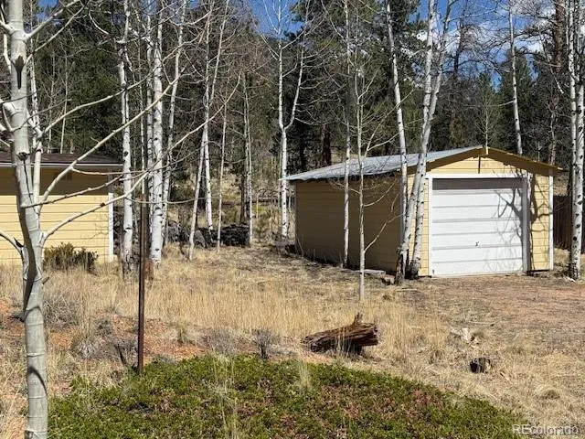 103 Baker Road Bailey, CO 80421