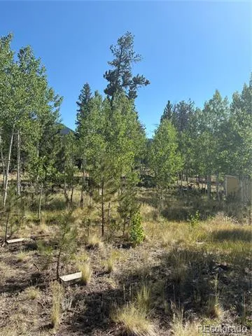 103 Baker Road Bailey, CO 80421