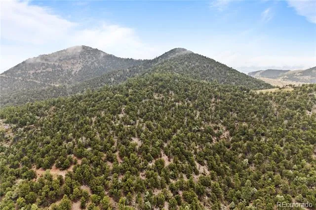 2125 J Path Cotopaxi, CO 81223
