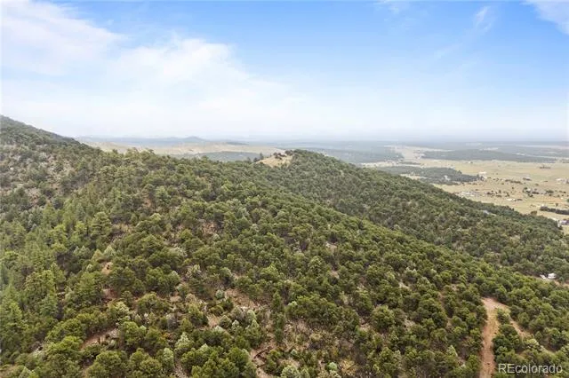 2125 J Path Cotopaxi, CO 81223