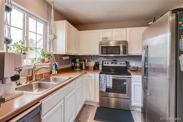 1458 Nemrick Place Castle Rock, CO 80109