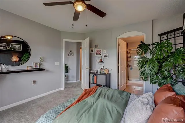 1458 Nemrick Place Castle Rock, CO 80109