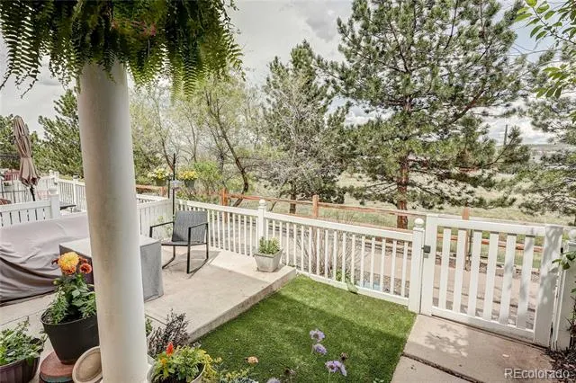 1458 Nemrick Place Castle Rock, CO 80109