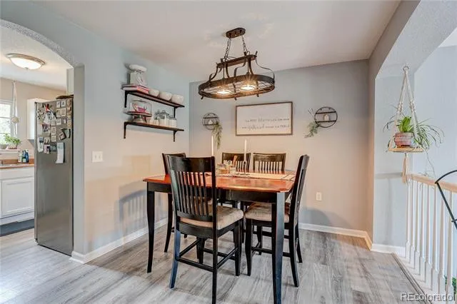 1458 Nemrick Place Castle Rock, CO 80109
