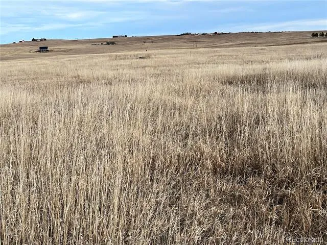 County 41 Road Elbert, CO 80106