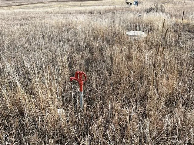County 41 Road Elbert, CO 80106