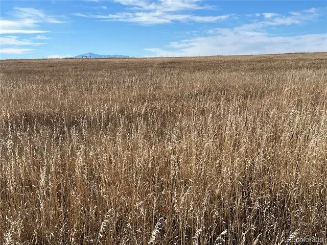 County 41 Road Elbert, CO 80106