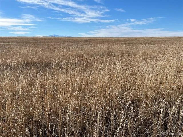 County 41 Road Elbert, CO 80106