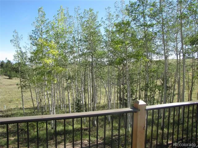 8575 Ranch Road Hartsel, CO 80449
