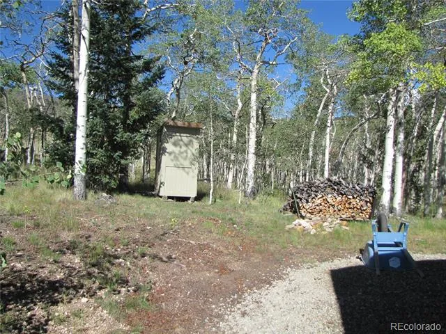 8575 Ranch Road Hartsel, CO 80449