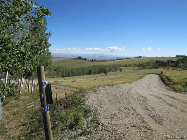 8575 Ranch Road Hartsel, CO 80449