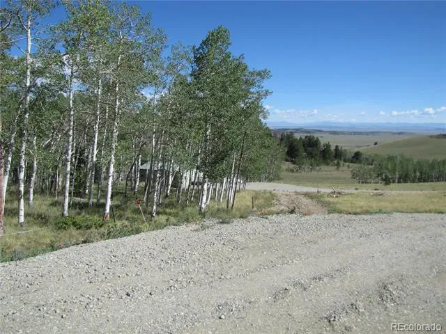 8575 Ranch Road Hartsel, CO 80449