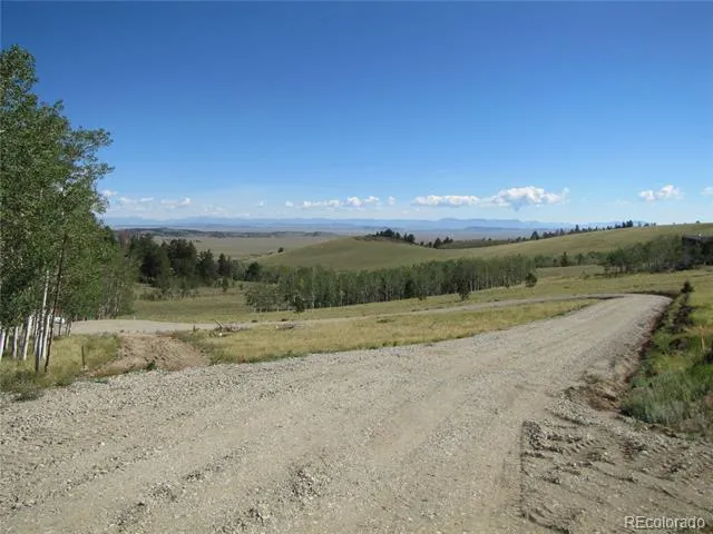 8575 Ranch Road Hartsel, CO 80449